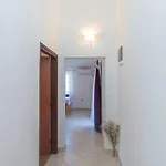 Apartmán Belakusic 2
