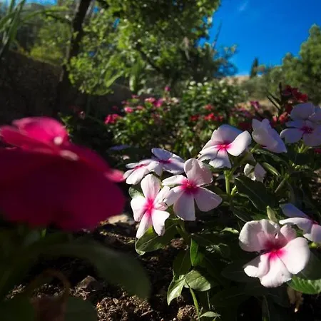 Apartman Belakusic 2 Grebastica