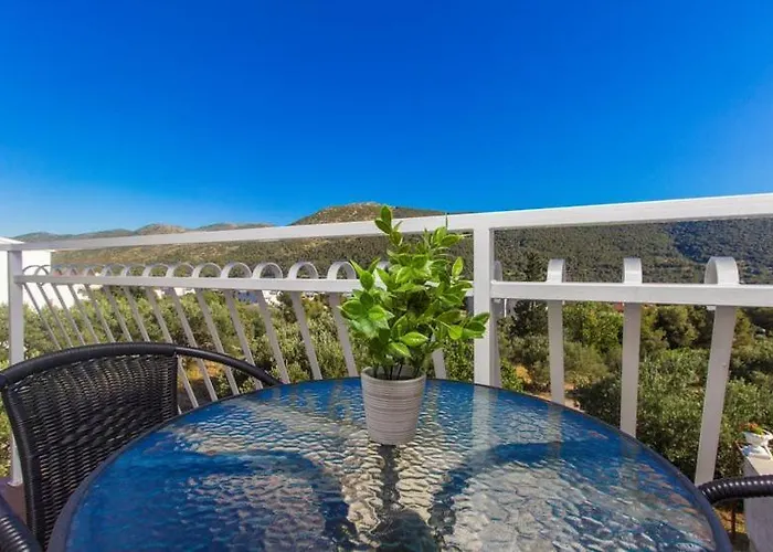 Apartment Belakusic 2