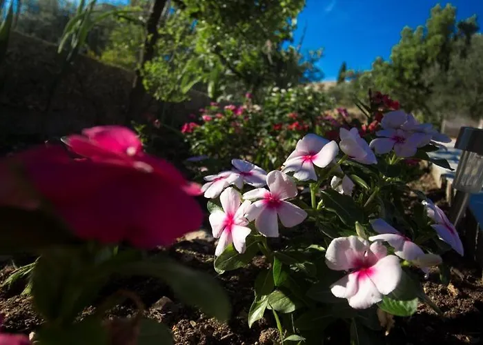 Appartement Belakusic 2 Grebaštica