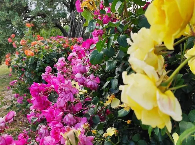 Belakusic 2 Apartman *